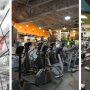 Harbor Fitness